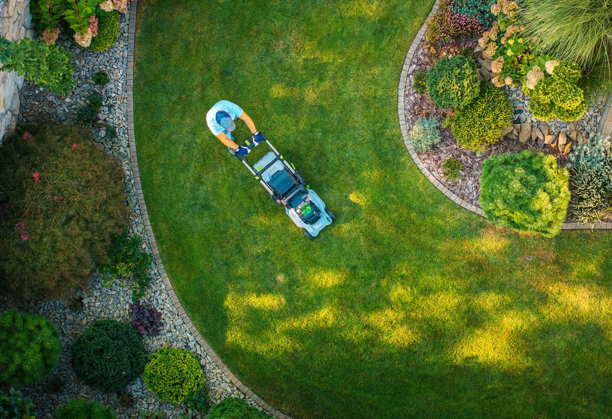 Beautiful lawn in Niagara garden
